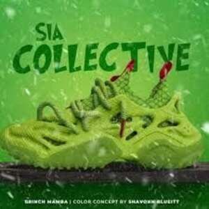 Sia Collective Grinch Mamba Foam Shoes with Neoprene Bootie